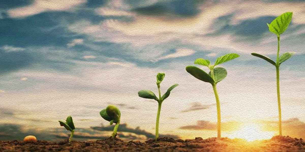 SIPATUKI’ UNNAMPUI KAPATONGANAN